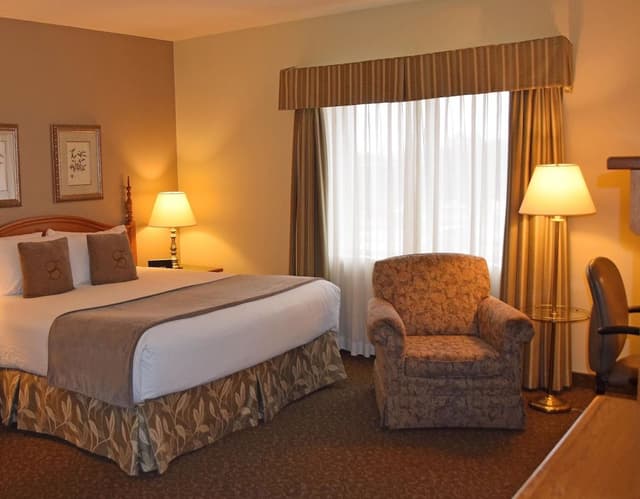 Studio Suite, 1 King Bed
