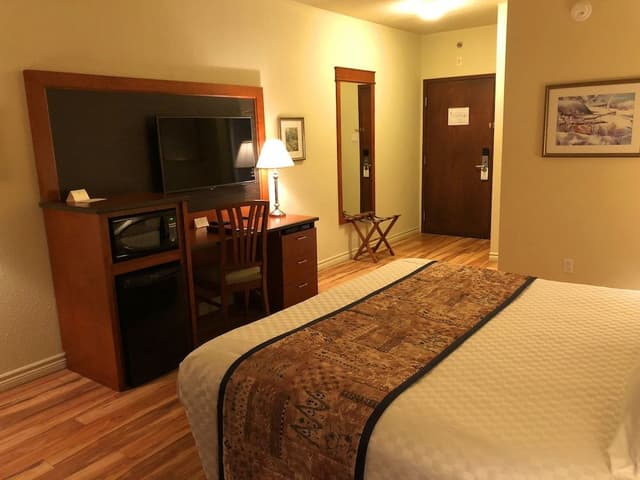 Privilege 1 King bed