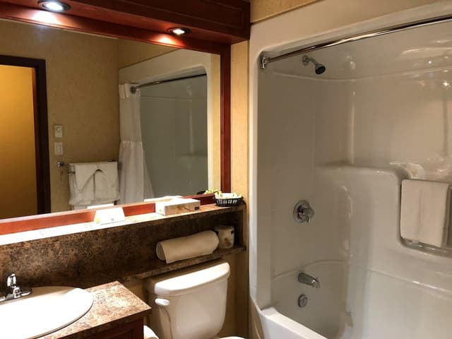 Privilege 1 King bed