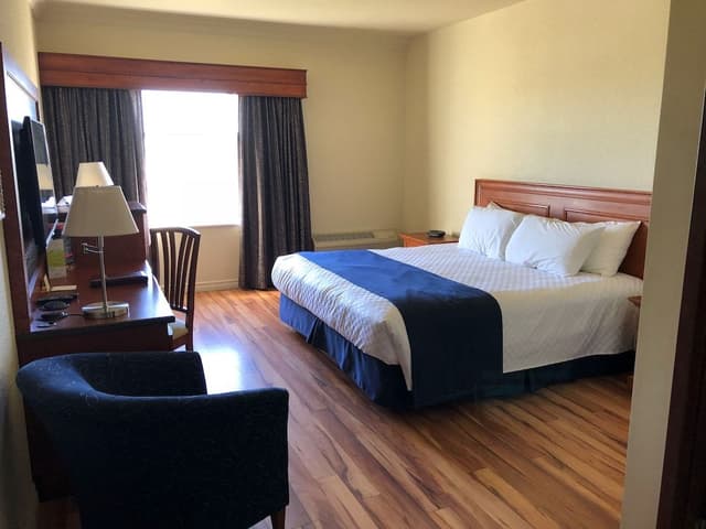 Privilege 1 King bed
