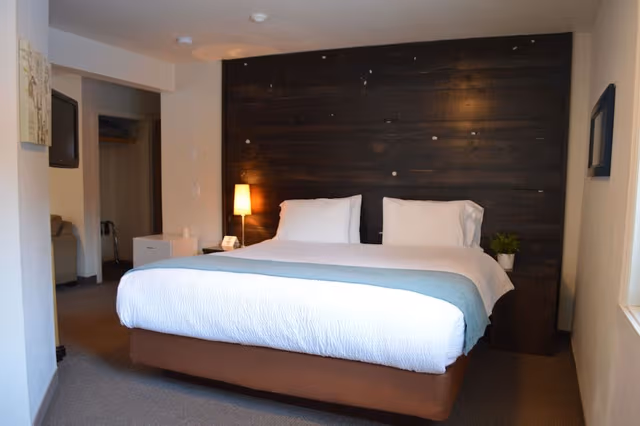Krishna Suite