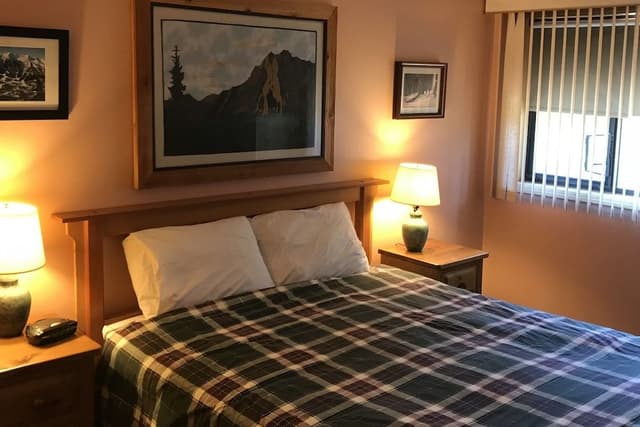 Condo, 1 Bedroom (Unit 208)