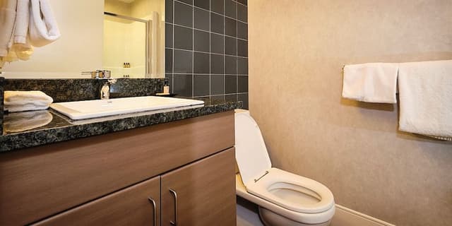 Deluxe Room, 1 King Bed