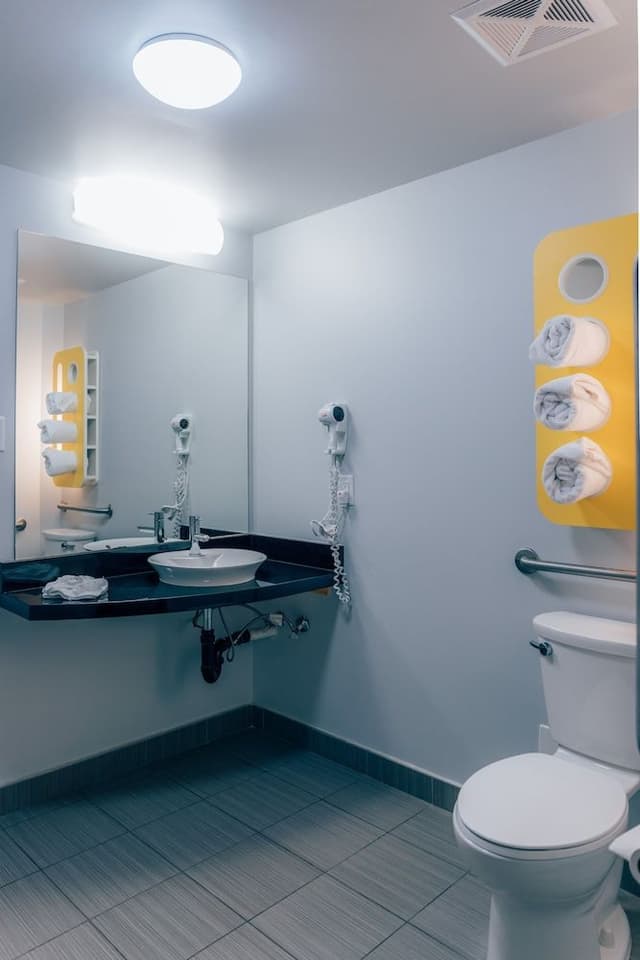 Standard Room, 1 Queen Bed, Roll-in Shower, Non Smoking