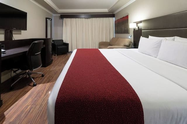 Design Room, 1 King Bed with Sofa bed (Urban)