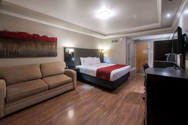 Design Room, 1 King Bed with Sofa bed (Urban)