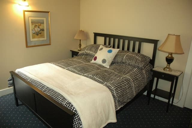 Basic Room, 1 Queen Bed- Basement Level