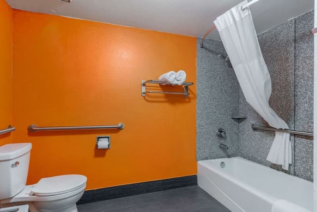Room, 1 King Bed, Accessible, Non Smoking