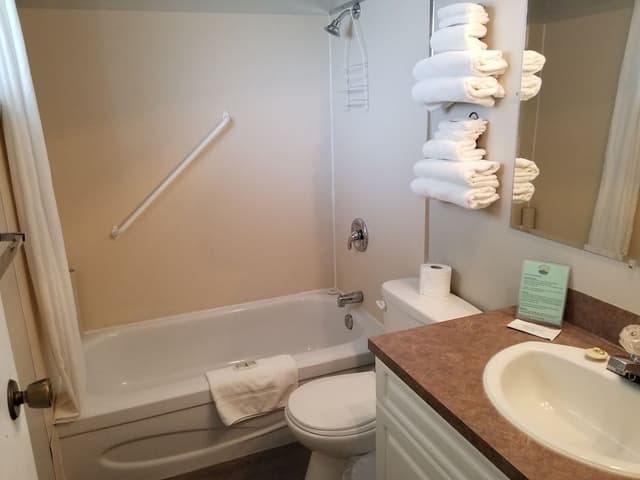 2 King 2 Bedroom Suite with Kitchen