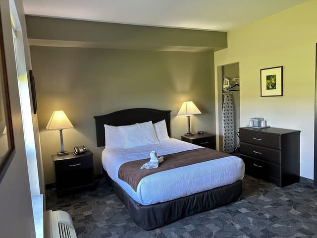 Standard Room, 1 Queen Bed, Accessible