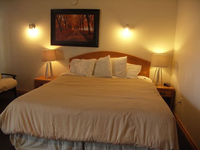 Deluxe Room, 1 King Bed, Non Smoking