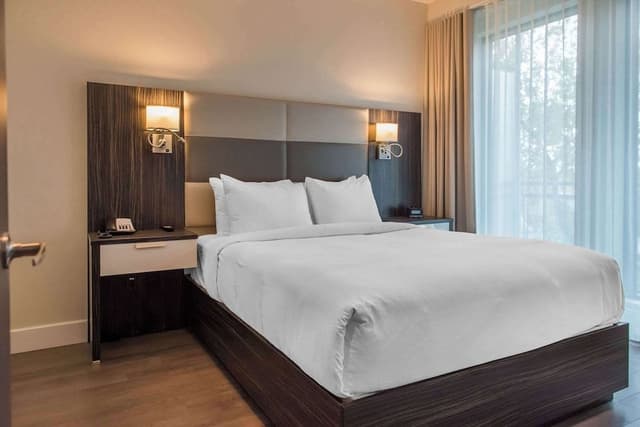 Suite, 1 King Bed with Sofa bed, Non Smoking (Efficiency)
