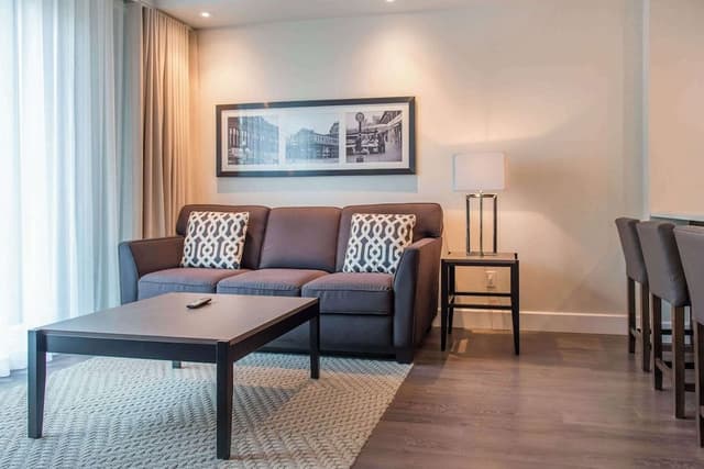 Suite, 1 King Bed with Sofa bed, Non Smoking (Efficiency)