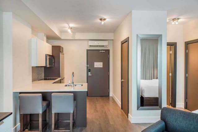 Room, 1 King Bed, Non Smoking (Efficiency)