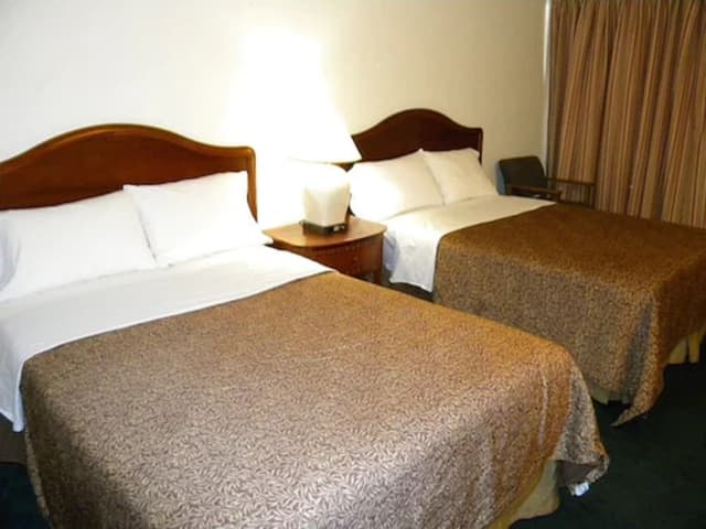 Standard Room, 2 Double Beds