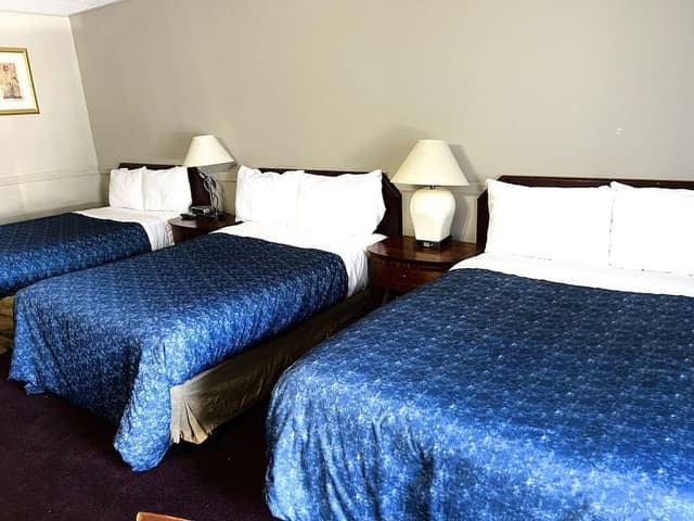 Family Room, Multiple Beds