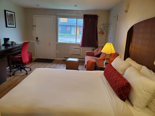 Room, 1 Queen Bed