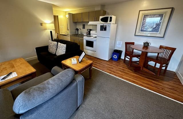 Junior Room, 1 Queen Bed, Kitchen