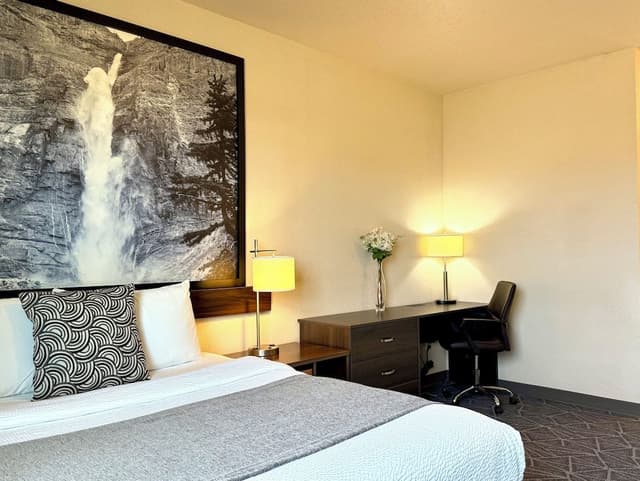 Deluxe Single Room, 1 Queen Bed, Kitchen