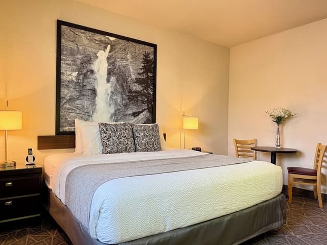 Standard Room, 1 King Bed