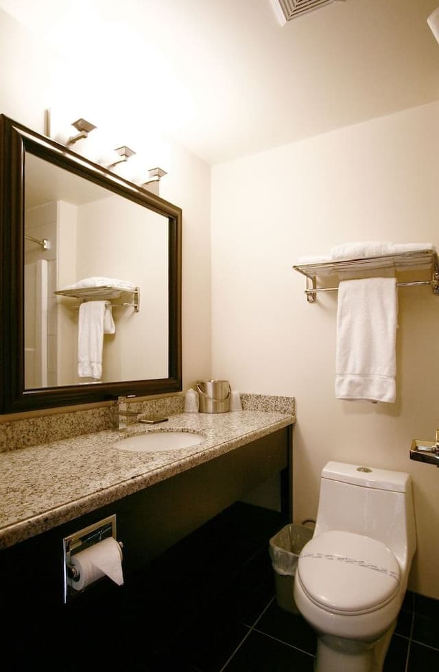 Executive Double Suite with Kitchenette