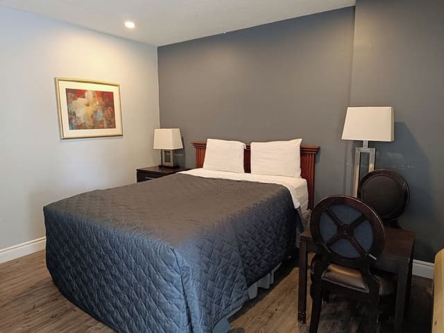 Single Room, 1 Queen Bed
