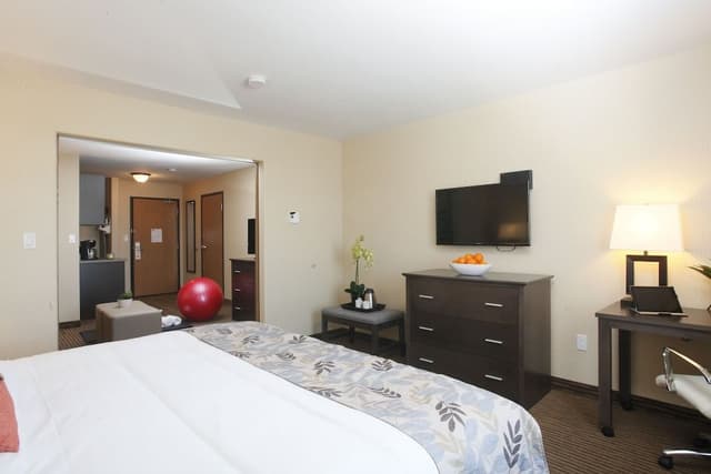 Standard Suite, 1 King Bed with Sofa bed