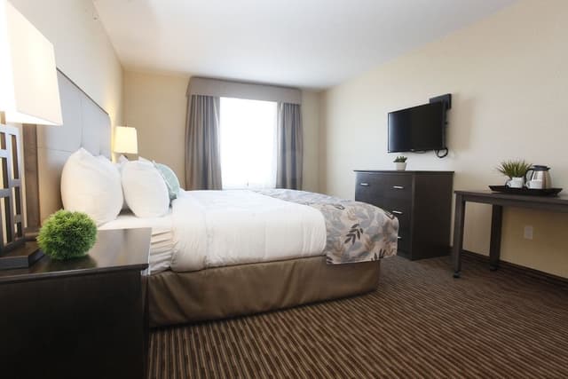 Deluxe Suite, 1 Bedroom, Kitchen