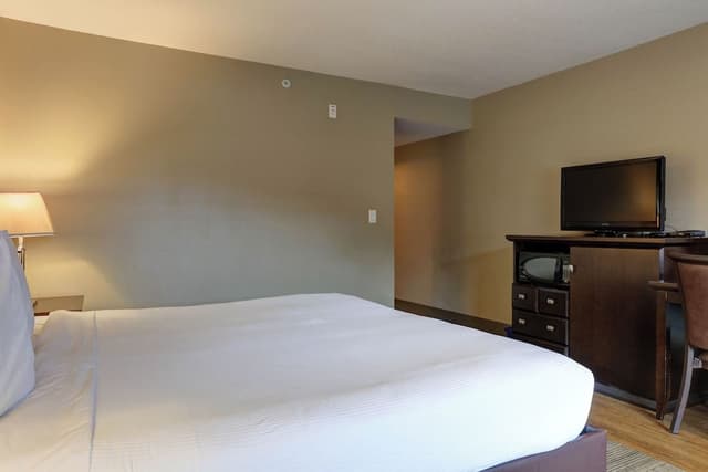 Standard Room, 1 King Bed
