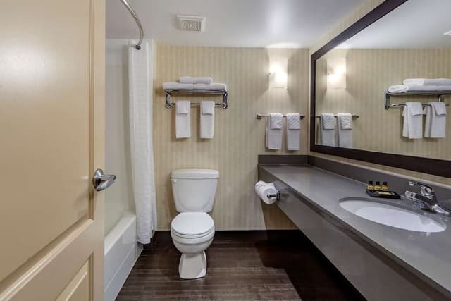 Standard Room, 1 King Bed, Non Smoking, Refrigerator & Microwave