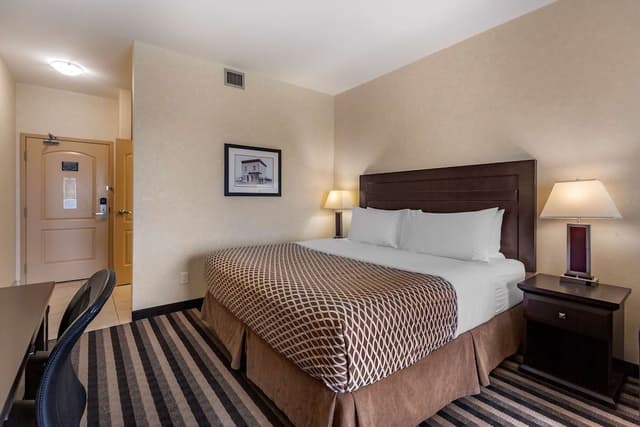 Standard Room, 1 King Bed, Accessible, Non Smoking (Walk-in Shower)
