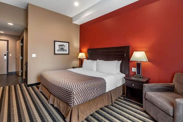 Standard Room, 1 King Bed, Accessible, Non Smoking (Walk-in Shower)