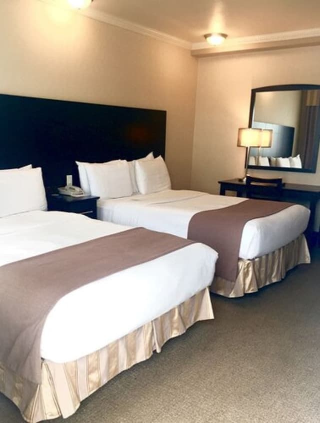 Standard Room, 2 Double Beds