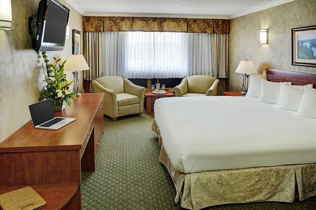 Executive Room, 1 King Bed, Non Smoking