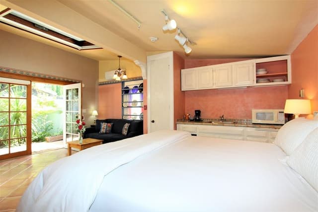 Family Room, 1 King Bed with Sofa bed