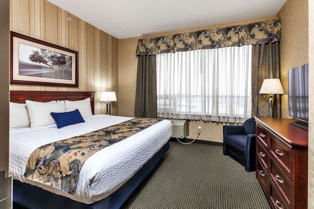 Executive Suite