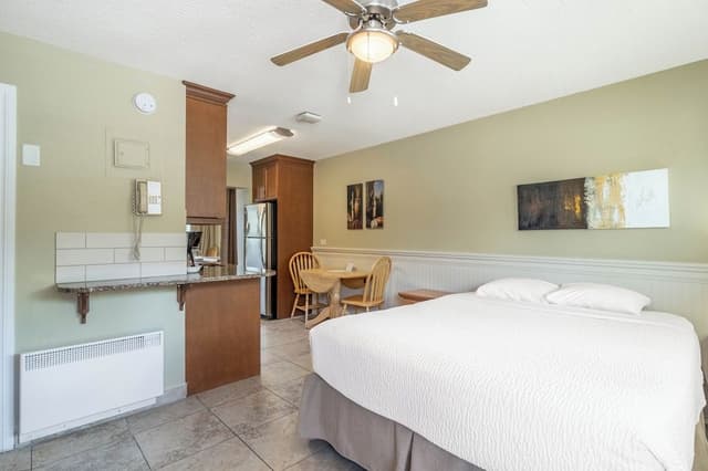 Superior Studio Suite, 1 Queen Bed, Non Smoking, Lake View