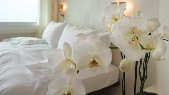 Boutique Junior Suite, Lake View
