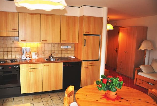 Apartment, 1 Bedroom, Balcony (Mönch)