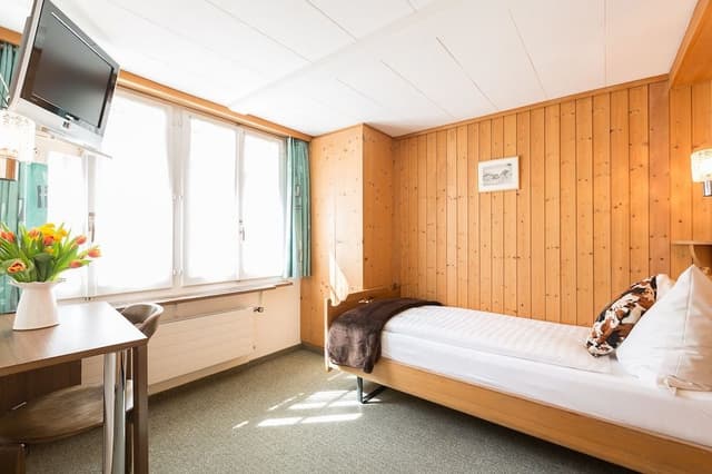 Single Room, Mountain View