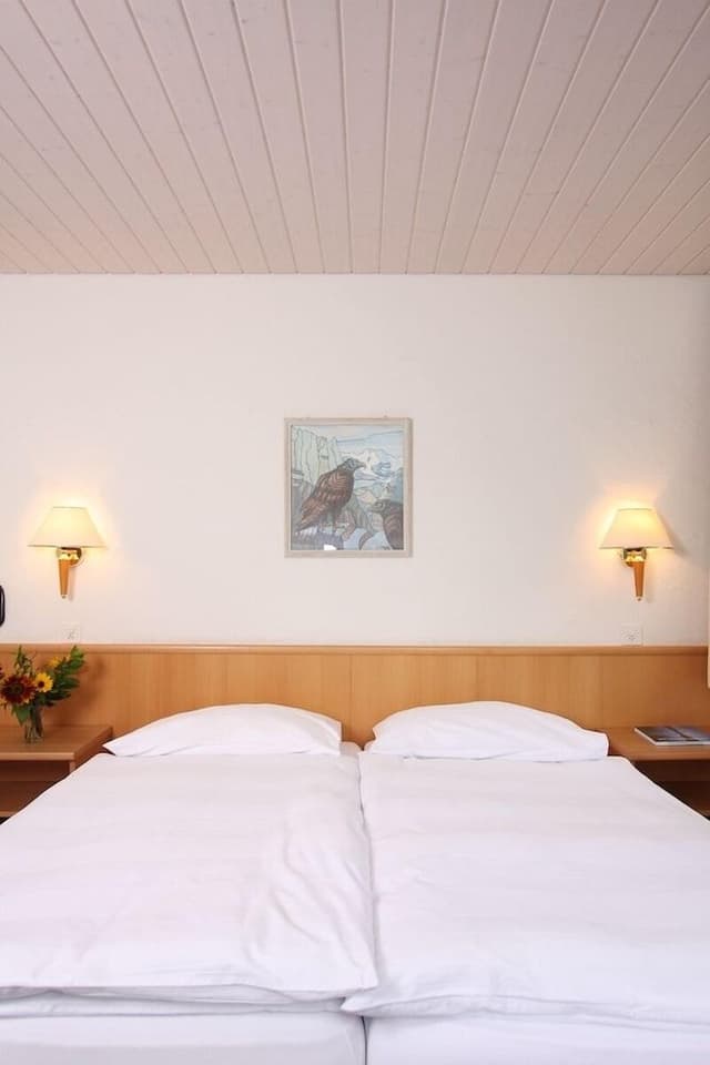 Double or Twin Room, 2 Twin Beds, Balcony, Mountain View