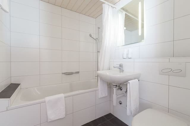 Double or Twin Room, 2 Twin Beds, Balcony, Mountain View