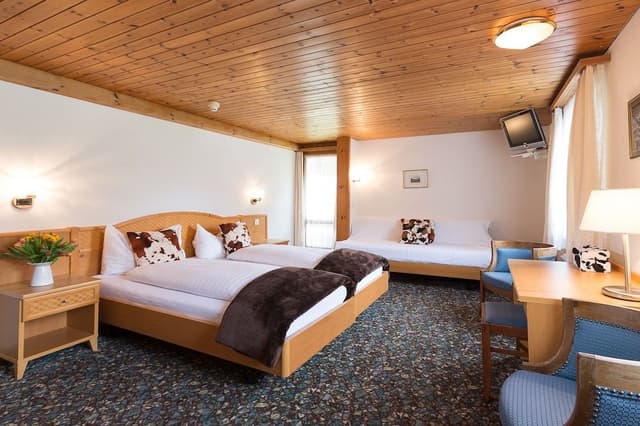 Double or Twin Room, 2 Twin Beds, Balcony, Mountain View
