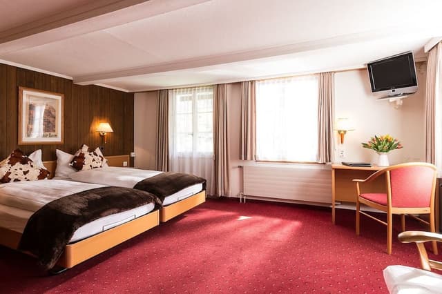 Double or Twin Room, 2 Twin Beds, Balcony, Mountain View
