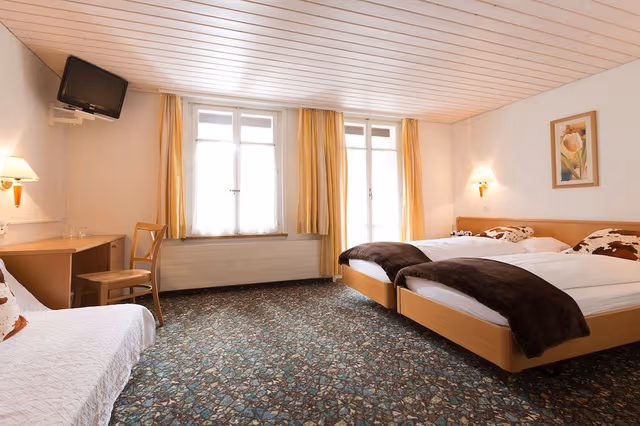 Double or Twin Room, 2 Twin Beds, Balcony, Mountain View