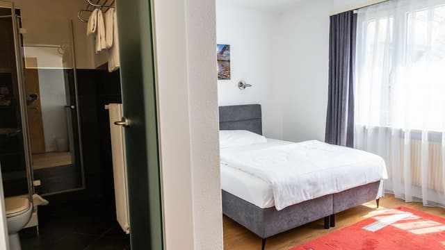 Basic Double Room