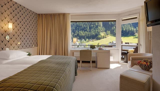 Standard Double Room (Poschiavo)