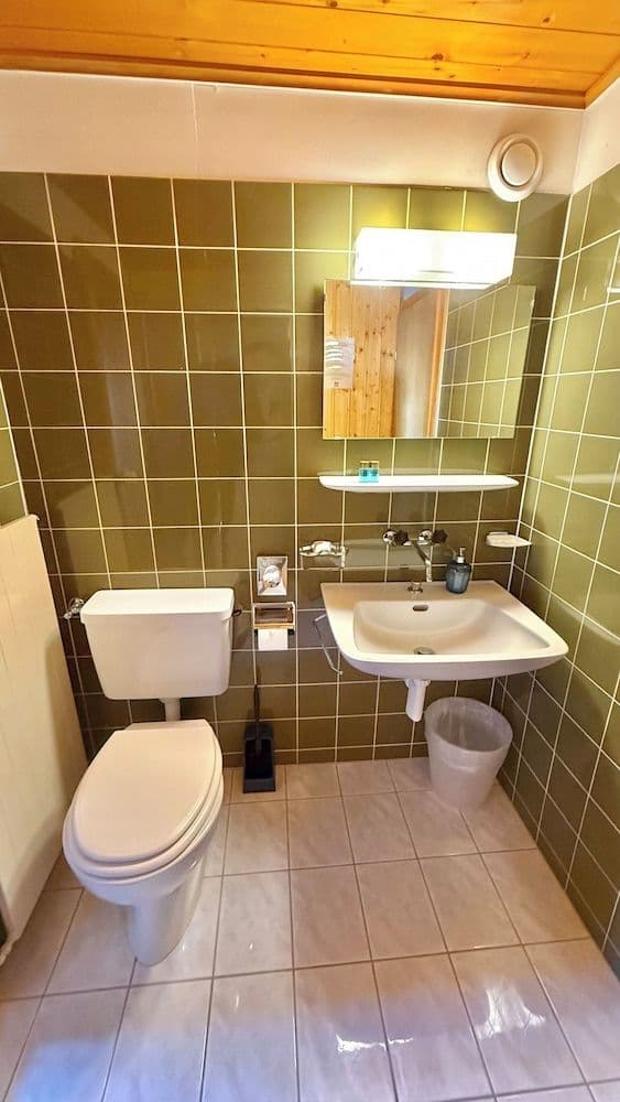 Economy Double Room, Pets Allowed, Mountain View