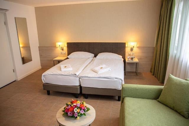 Family Double or Twin Room, Mountain View