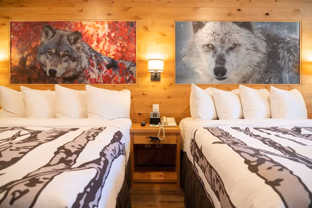 Junior Suite, 2 Queen Beds